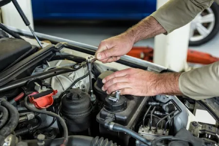 Starter Motor is important